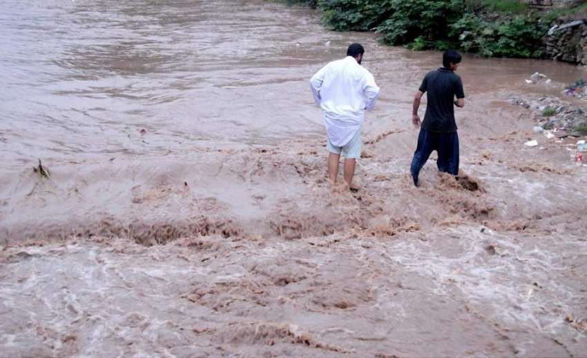 راولپنڈی: موسلا دھار بارش کے بعد پیر ودھائی نالہ لئی میں ..