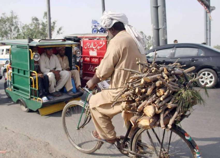 لاہور: ایک شخص گھر کا چولہا جلانے کے لیے لکڑیاں سائیکل کے ..