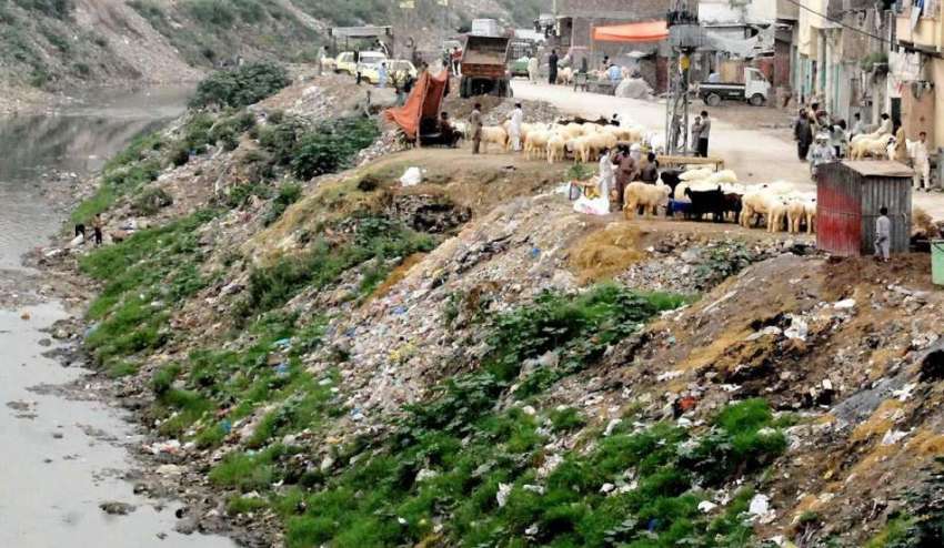 راولپنڈی: نالہ لئی کنارے پھینکے گئے کوڑے کرکٹ کا منظر۔