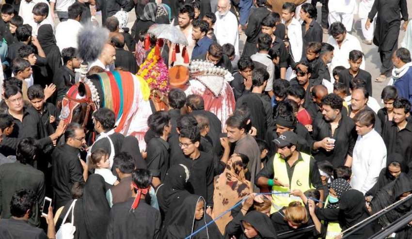 راولپنڈی: یوم عاشور کے مرکزی جلوس میں عزادار ذوالجناح کی ..