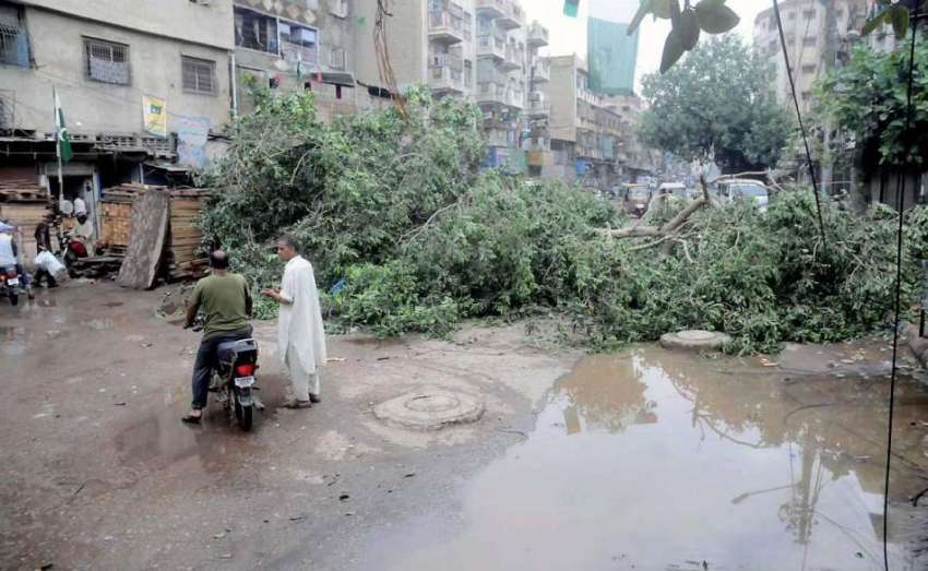 کراچی: گزشتہ رات آنے والی طوفانی ہواؤں کے باعث کراچی کے مختلف ..