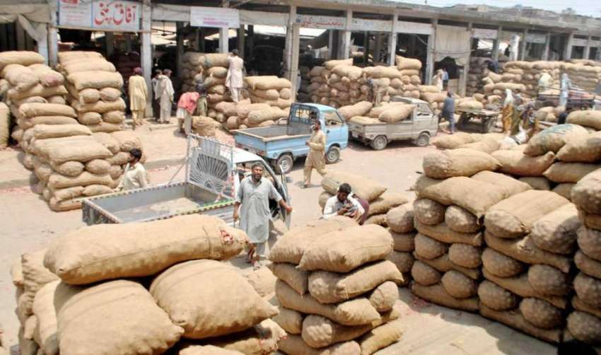 راولپنڈی: شدید گرمی میں مزدور منڈی میں اپنے کام میں مصروف ..