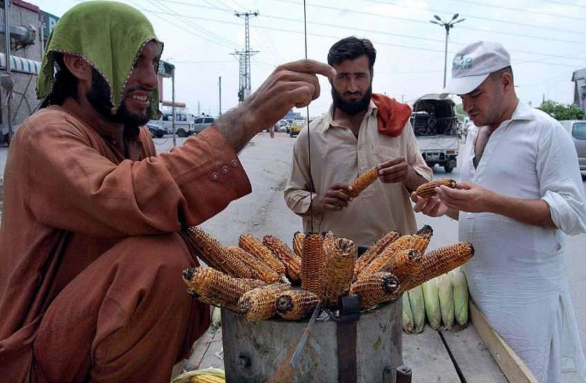 اسلام آباد: ایک محنت کش سڑک کنارے فروخت کے لیے چھلیاں بھون ..