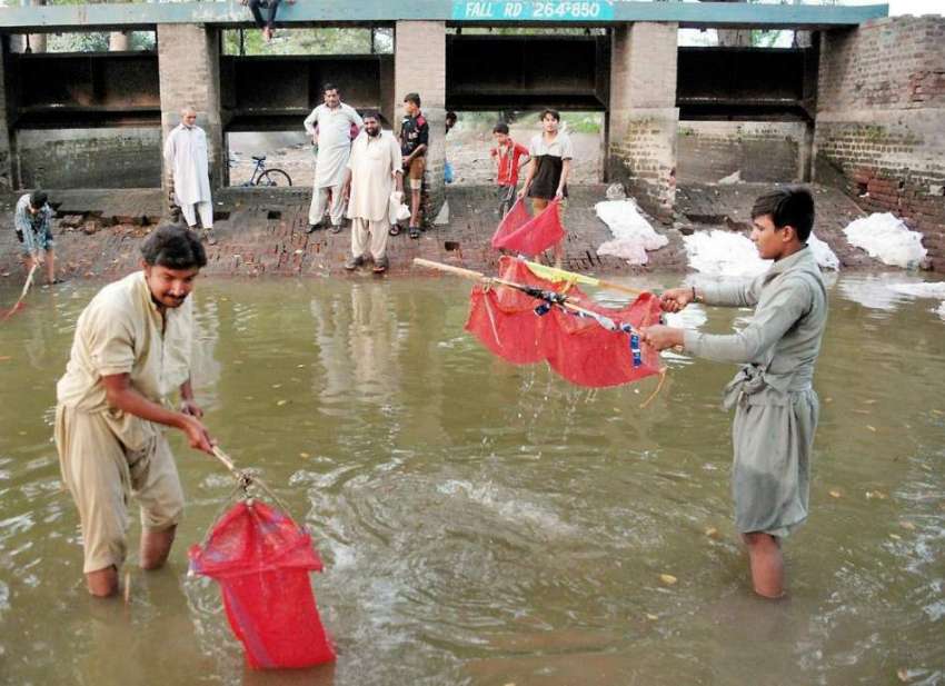 لاہور: مچھیرے دھرمپورہ نہر سے مچھلیاں پکڑ رہے ہیں۔