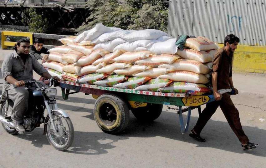 راولپنڈی: ایک محنت کش ہتھ ریڑھے پر بھاری تھیلے لادے گنج منڈی ..