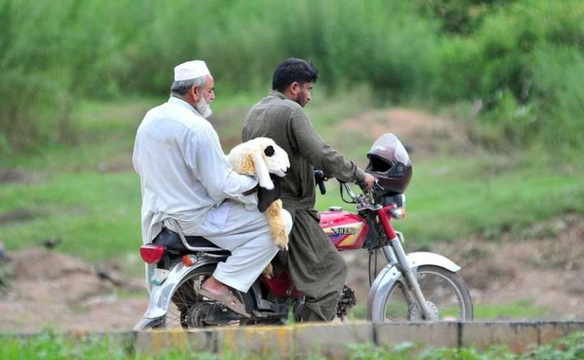 اسلام آباد: عید قرباں کی آمد کے موقع پر دوموٹر سائیکل سوار ..