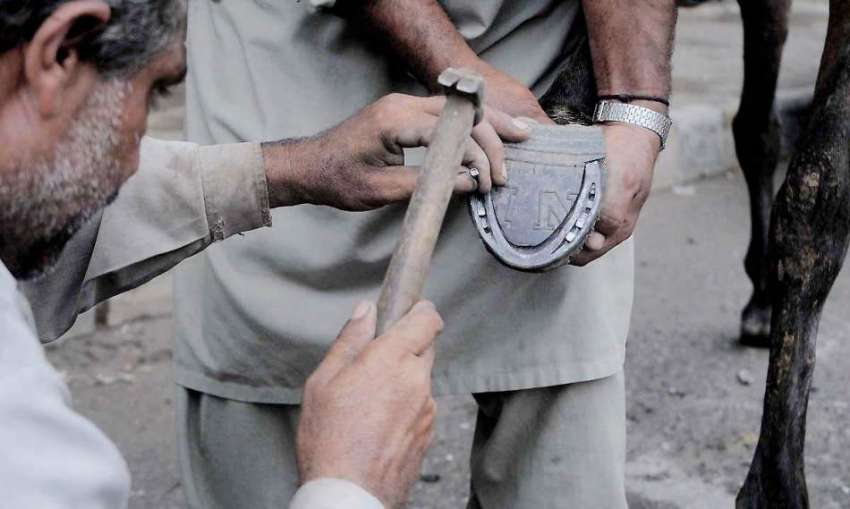 راولپنڈی: ایک محنت کش گھوڑے کے پاؤں میں آہنی حلقہ لگا رہا ..