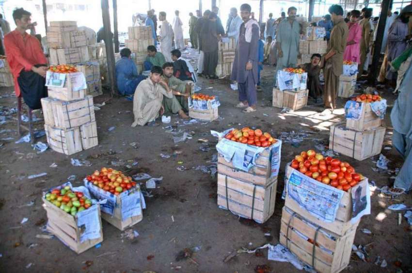 حیدر آباد: سبزی منڈی میں دکانداروں نے فروخت کے لیے ٹماٹر ..