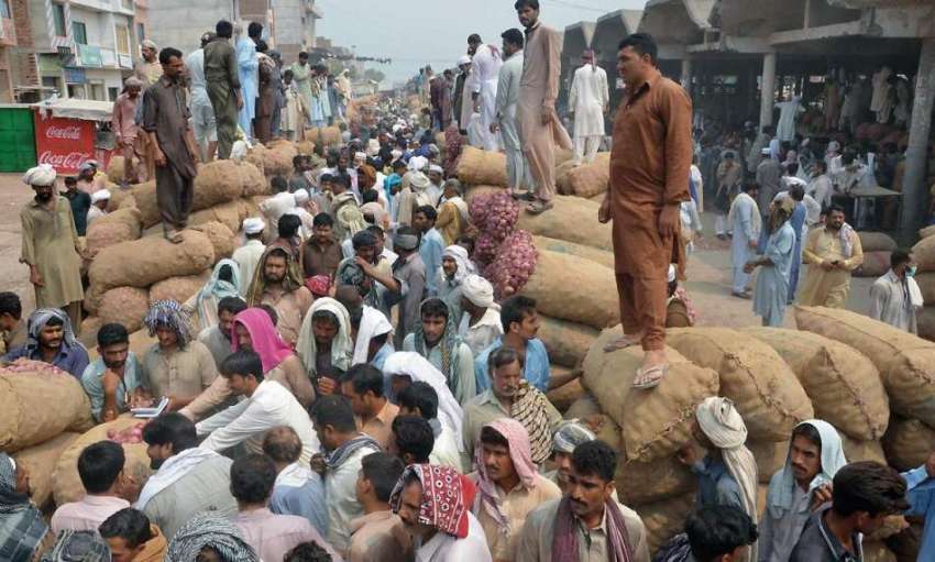 فیصل آباد: سبزی منڈی میں آلو اور پیاز کی بولی ہو رہی ہے خریدار ..