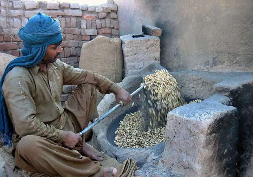 راولپنڈی: محنت کش مونگ پھلی روسٹ کر رہا ہے۔