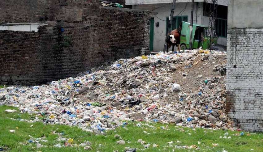راولپنڈی: نصیر آباد میں کچرے کے ڈھیر علاقہ مکینوں کے لیے ..