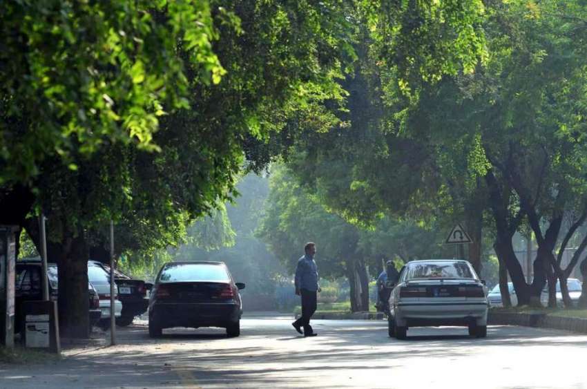 اسلام آباد: درختوں سے ڈھکی ہوئی سڑک کا خوبصورت منظر۔
