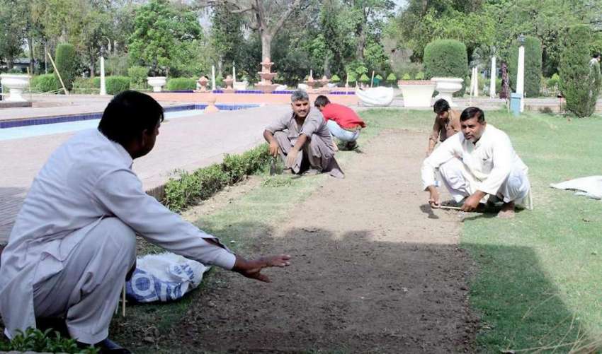 لاہور: پی ایچ اے کے ملازم باغ جناح میں پودے لگانے کی تیاری ..