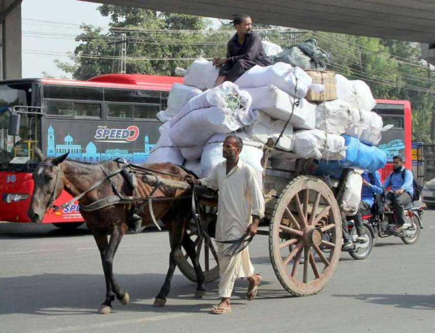 لاہور: راوی روڈ پر محنت کش ریڑھے پر بھاری سامان رکھ کر لیجا ..