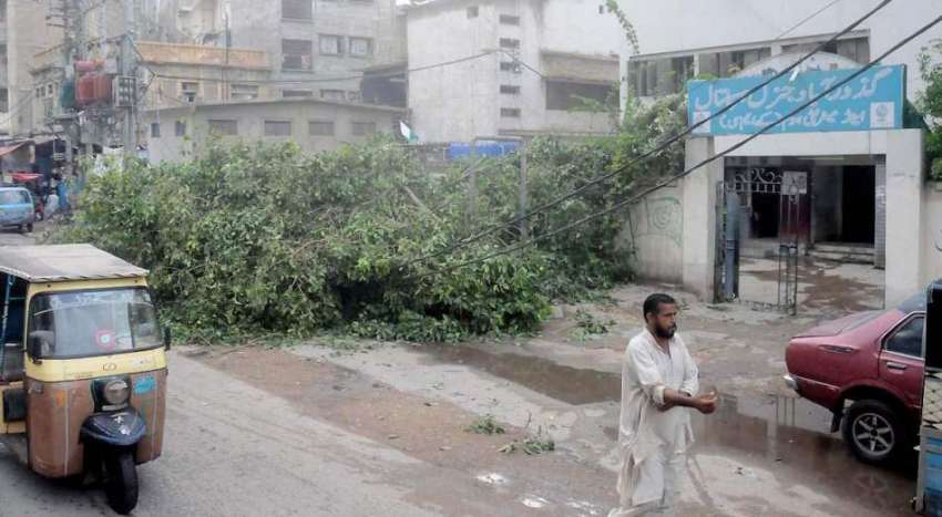 کراچی: گزشتہ رات آنے والی طوفانی ہواؤں کے باعث کراچی کے مختلف ..
