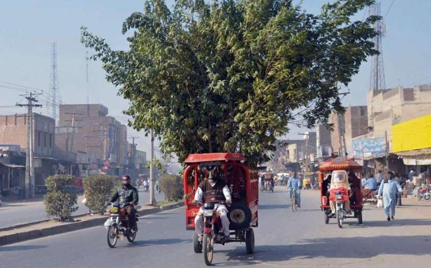 فیصل آباد:جڑانوالہ روڈ پر لوڈر موٹر سائیکل پر ہرے بھرے درخت ..