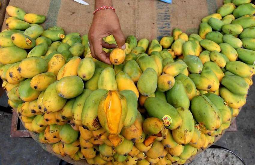 راولپنڈی: پھل فروش خریداروں کو متوجہ کرنے کے لیے آم سجانے ..