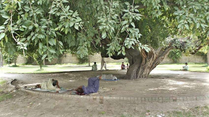 لاہور: شہری گرمی کی شدت سے بچنے کے لیے درخت کے سائے تلے آرام ..