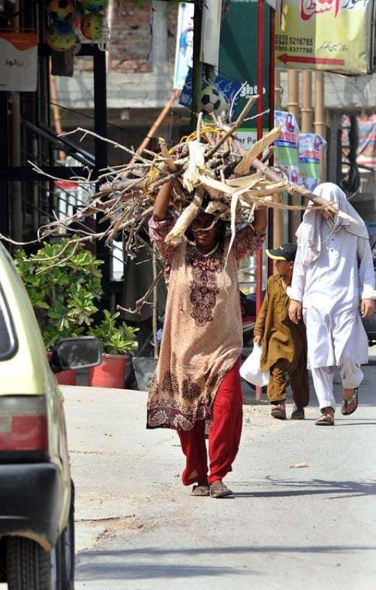 راولپنڈی: خانہ بدوش خاتون چولہا جلانے کے لیے خشک لکڑیاں ..