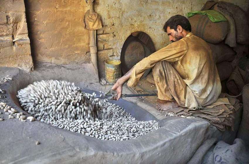 راولپنڈی: محنت کش مونگ پھلی روسٹ کر رہا ہے۔