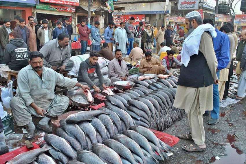 لاہور: ایک دکاندار مچھلی فروخت کر رہا ہے۔