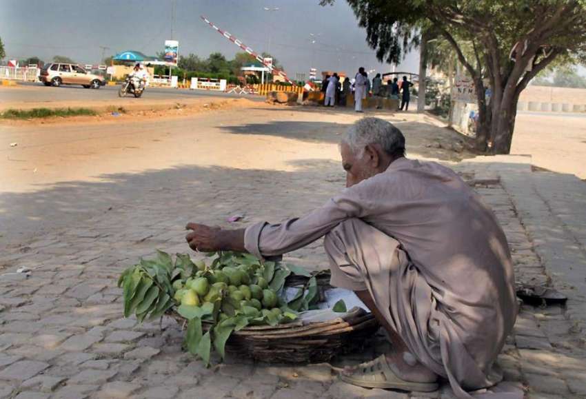لاہور: ایک شخص امرود فروخت کرنے کے لیے ٹوکری میں سجا رہا ..
