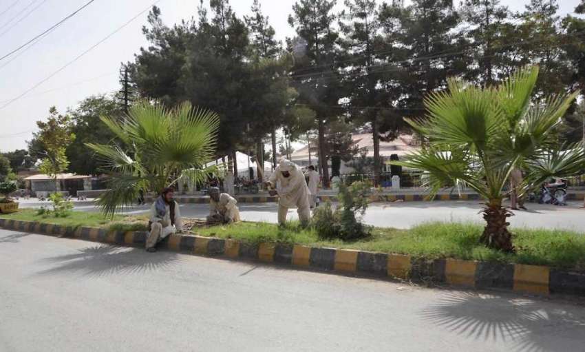 کوئٹہ: محکمہ جنگلات کا عملہ بلوچستان اسمبلی کے سامنے پودوں ..