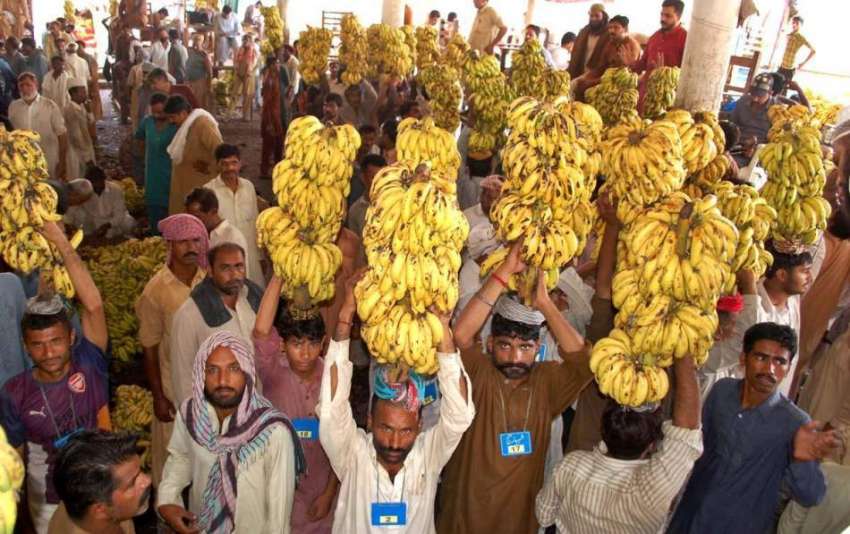فیصل آباد: دکاندار منڈی سے کیلے خرید کر لیجا رہے ہیں۔