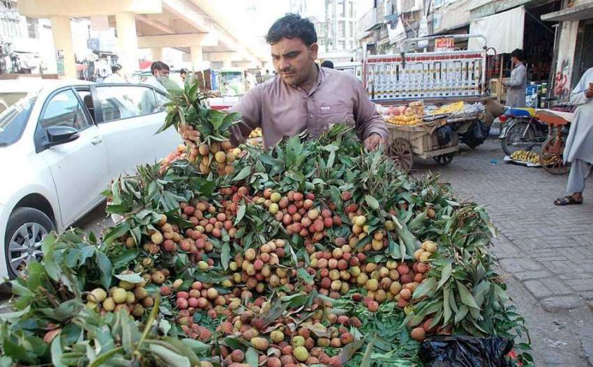 پشاور: ایک دکاندار گاہکووں کو متوجہ کرنے کے لیے لیچی سجا ..
