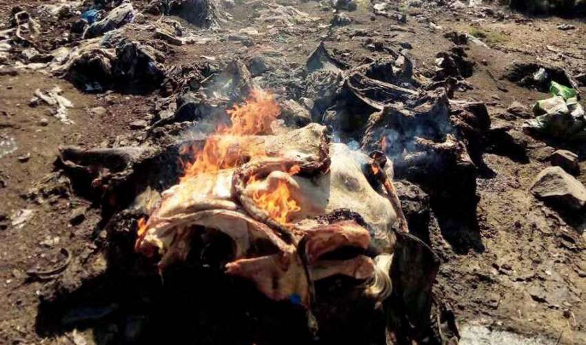 راولپنڈی: شہرکے مختلف علاقوں سے پکڑے جانیوالہ مضر صحت گوشت ..