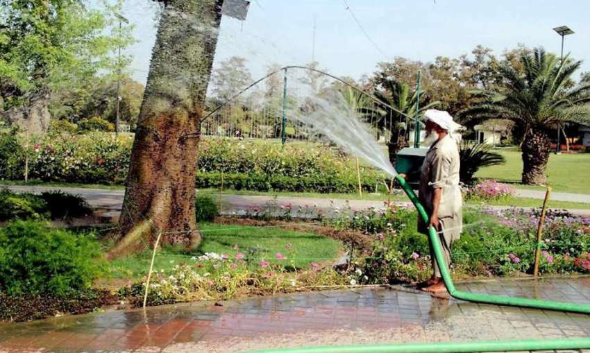 لاہور: جیلانی پارک میں پی ایچ اے کا ملازم پودوں کو پانی دے ..