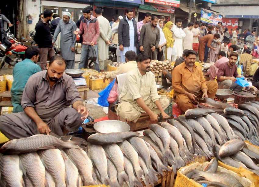 لاہور: مچھلی منڈی میں محنت کش مچھلی فروخت کرنے کے لیے بیٹھے ..
