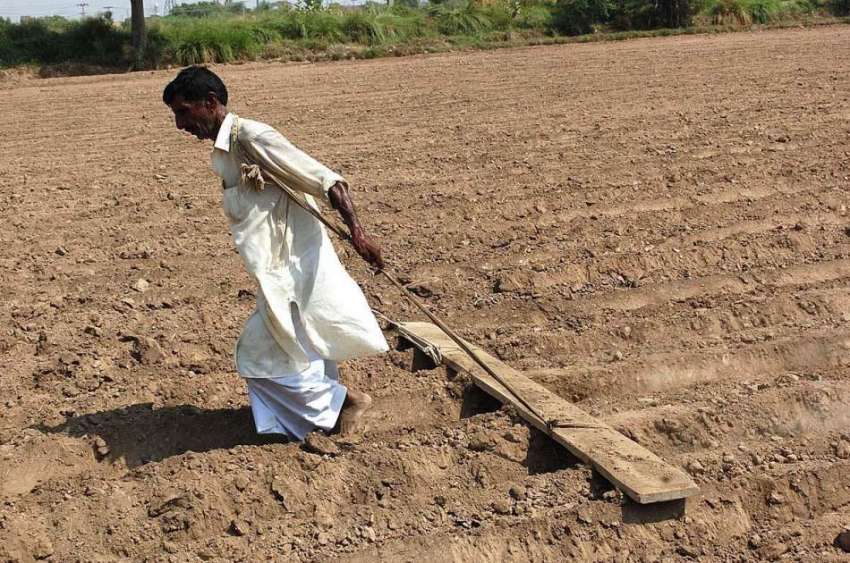 فیصل آباد: کسان کھیت کو فصل کی لیے تیار کر رہا ہے۔