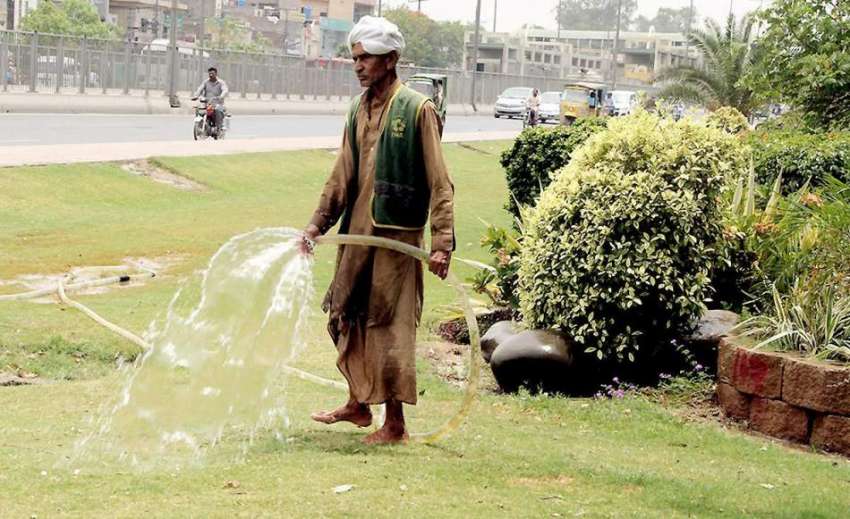 لاہور: فیروز پور روڈ پر پی ایچ اے کا ملازم گھاس کو پانی لگار ..