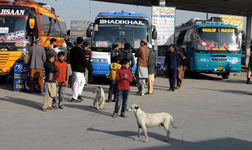 راولپنڈی: انتظامیہ کی نااہلی ،پیر دھائی بس سٹینڈ پر آواراہ ..