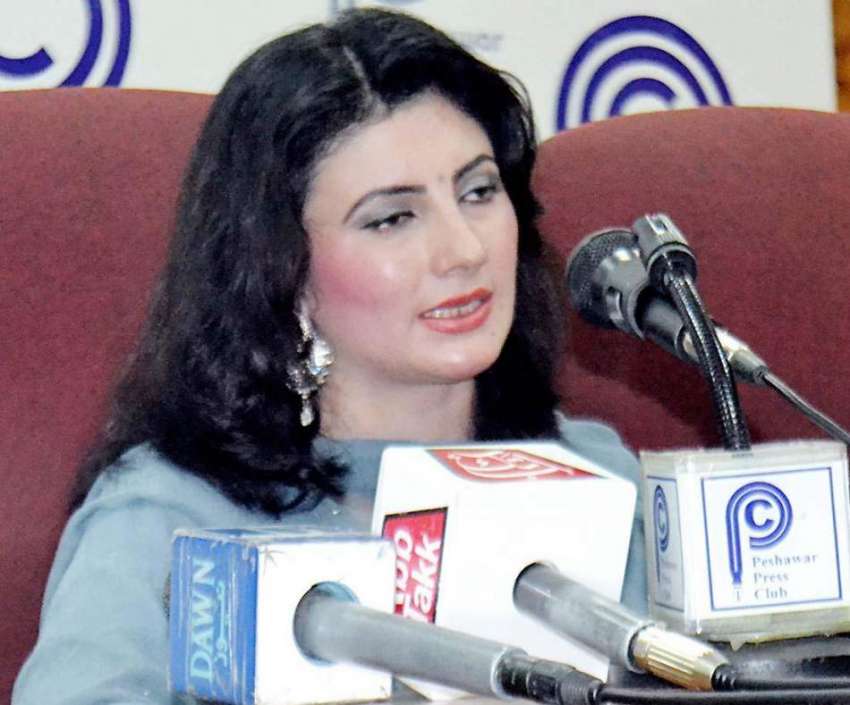 پشاور: پشتون گلوکارہ نازیہ اقبال پریس کانفرنس کر رہی ہیں۔
