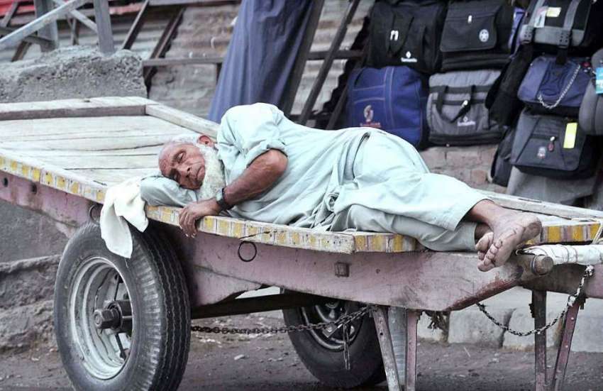 راولپنڈی: معمر محنت کش گدھا ریڑھے پر آرام کر رہا ہے۔