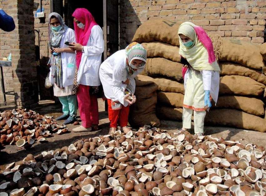 راولپنڈی: پنجاب فوڈ اتھارٹی کے اہلکار ایک کارخانے میں ناریل ..