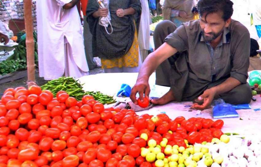راولپنڈی: دکاندار فروخت کے لیے ٹماٹر سجا رہا ہے۔