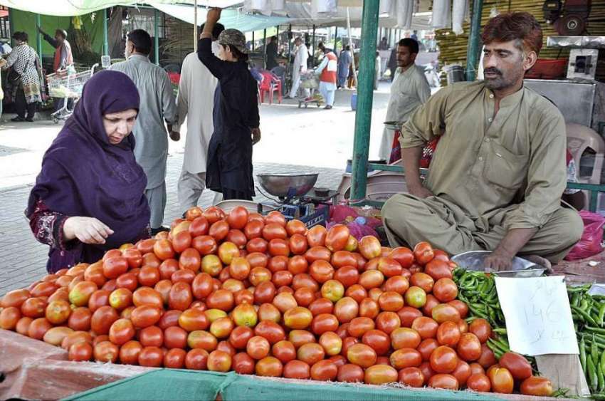 اسلام آباد: ایک خاتون ریڑھی بان سے ٹماٹر خرید رہی ہے۔