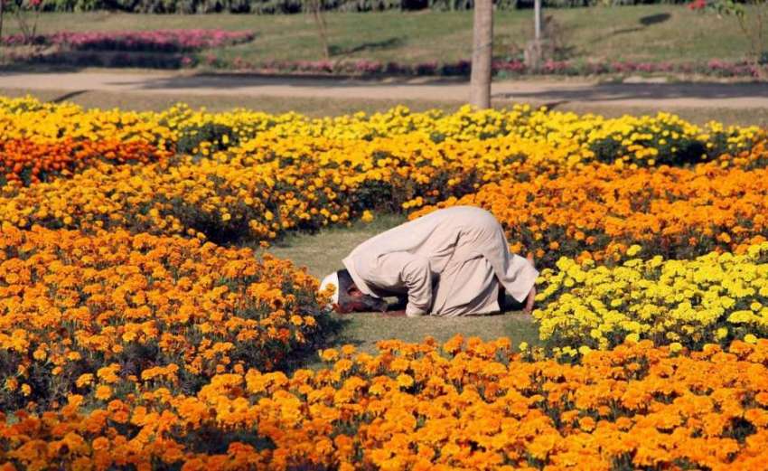 لاہور: جیلانی پارک میں ایک شخص نماز ادا کر رہا ہے۔