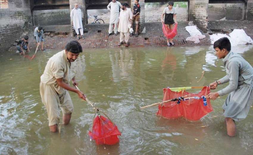 لاہور: مچھیرے دھرمپورہ نہر سے مچھلیاں پکڑ رہے ہیں۔