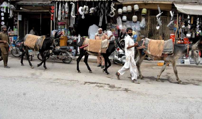 راولپنڈی: ریت بجری اینٹیں سپلائی کرنے والے مزدور اپنے گدھوں ..