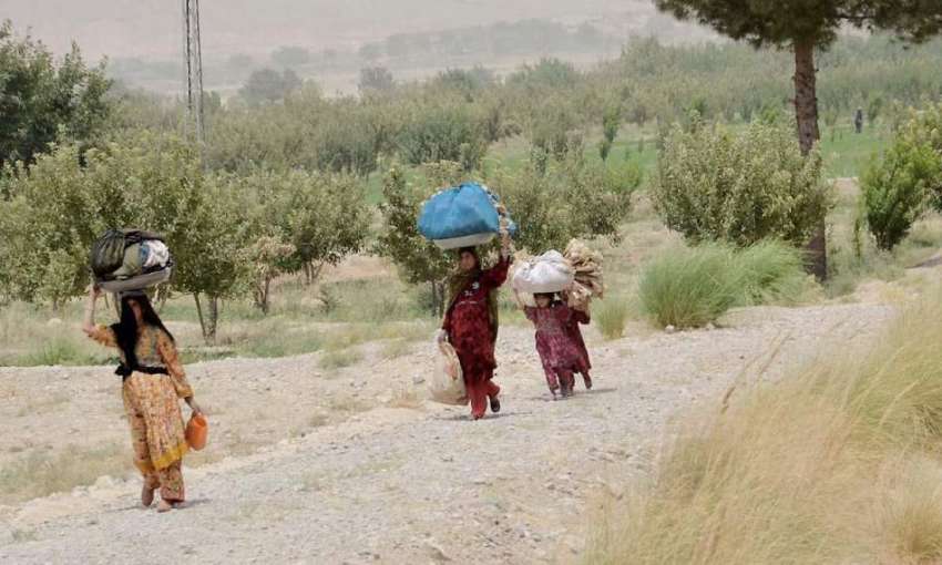 کوئٹہ: زیارت کے علاقے میں خانہ بدوش خواتین گھریلو استعمال ..