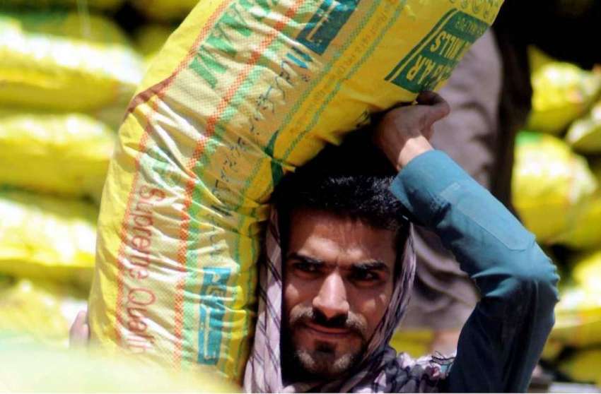 راولپنڈی: مزدورں کے عالمی دن سے بے خبر مزدور سبزی منڈی میں ..