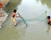 ملتان: نوجوان نہر سے مچھلیاں پکڑنے کی کوشش کر رہے ہیں۔