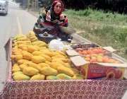 اسلام آباد: وفاقی دارالحکومت کے علاقہ چک شہزاد میں ایک خاتون گھر کی ..