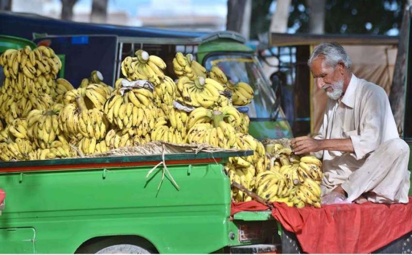 راولپنڈی: ایک معمر محنت کش گاہکوں کو متوجہ کرنے کے لیے کیلے ..