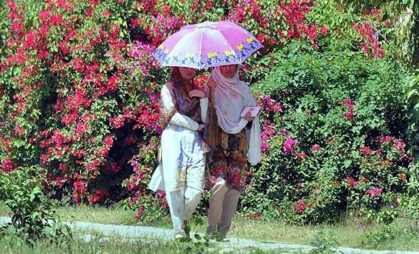 راولپنڈی: خواتین گرمی اور دھوپ کی شدت سے بچنے کے لیے چھتری ..