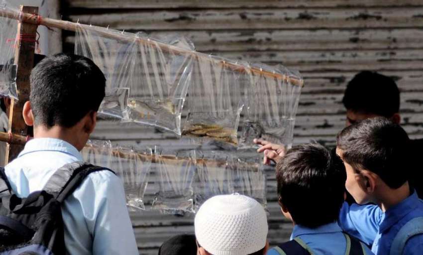 اسلام آباد: طلبہ سکول کے باہر سائیکل بان سے مچھلی خرید رہے ..